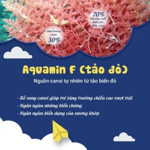 Dưỡng chất vàng Aquamin F từ tảo biển đỏ