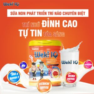 Thực phẩm dinh dưỡng Weki IQ